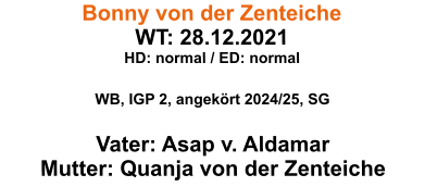 Bonny von der Zenteiche WT: 28.12.2021 HD: normal / ED: normal  WB, IGP 2, angekrt 2024/25, SG  Vater: Asap v. Aldamar Mutter: Quanja von der Zenteiche